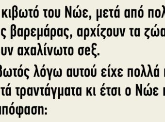 Στην Κιβωτό του Νώε Μετά από Πολλές Μέρες Βαρεμάρας τα Ζώα