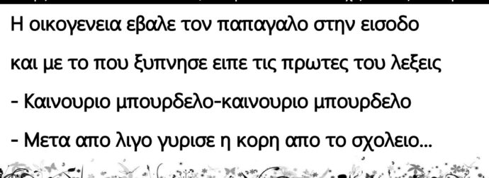 Καίγεται ένα μπουρδέλο…Κατάφεραν να σώσουν από εκεί ένας παπαγάλο τον οποίον τον χάρισαν σε μια οικογένεια!