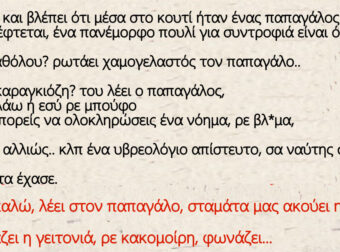 Ο Φώτης, ένας 35άρης εργένης λίγες μέρες μετά τη γιορτή του δέχεται ένα μεγάλο κουτί ως δώρο από έναν άγνωστο αποστολέα