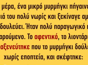 Κάθε μέρα ένα μικρό μυρμήγκι πήγαινε στη δουλειά