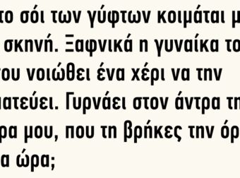 Όλο το σόι των γύφτων κοιμάται μέσα στην σκηνή