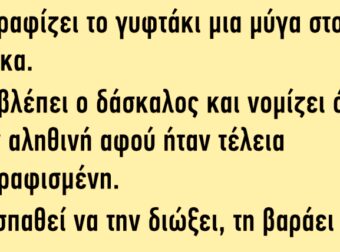 Ζωγραφίζει το γυφτάκι μια μύγα στον πίνακα