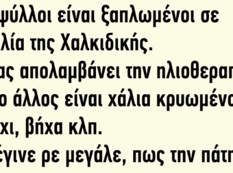 Δυο ψύλλοι είναι ξαπλωμένοι σε παραλία της Χαλκιδικής