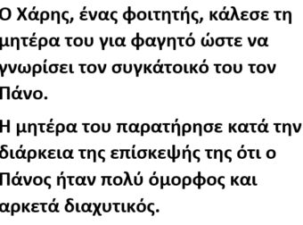 Ο Χάρης, ένας φοιτητής, κάλεσε τη μητέρα του για φαγητό ώστε να γνωρίσει τον συγκάτοικό του τον Πάνο.